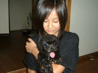 トイプードル子犬写真