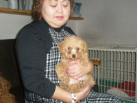子犬レオンくんの写真