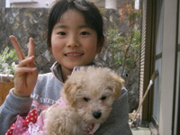 子犬ルルちゃんの写真