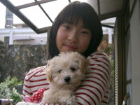 子犬ルルちゃんの写真